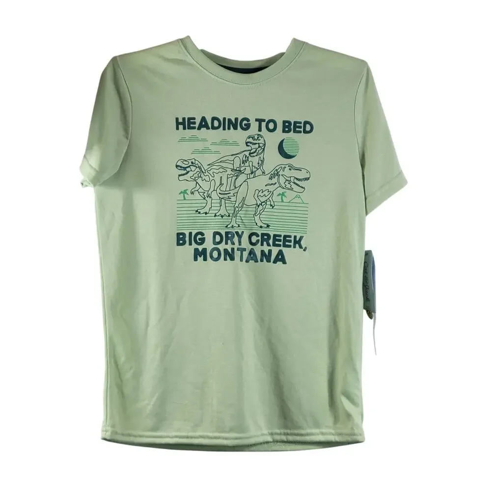 Cat & Jack Big Dry Creek Dinosaur 3 Piece Pajama Set, Green, Size L (10/12), NWT