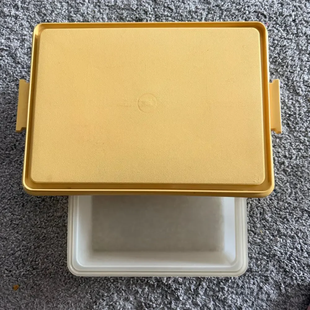 Tupperware vintage rectangle