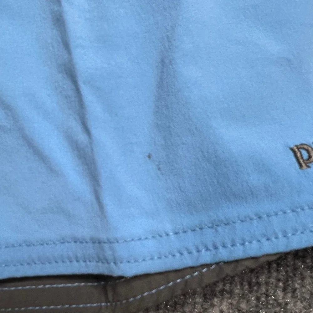Patagonia board shorts