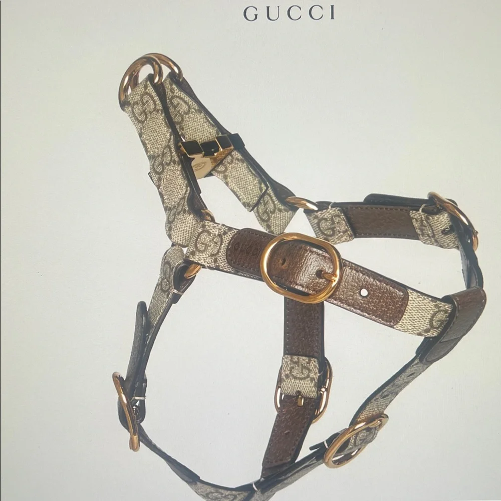 Gucci size good