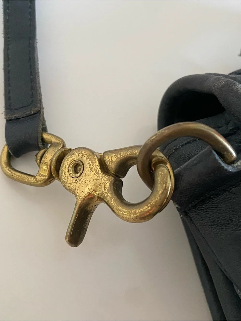 Coach bag shows