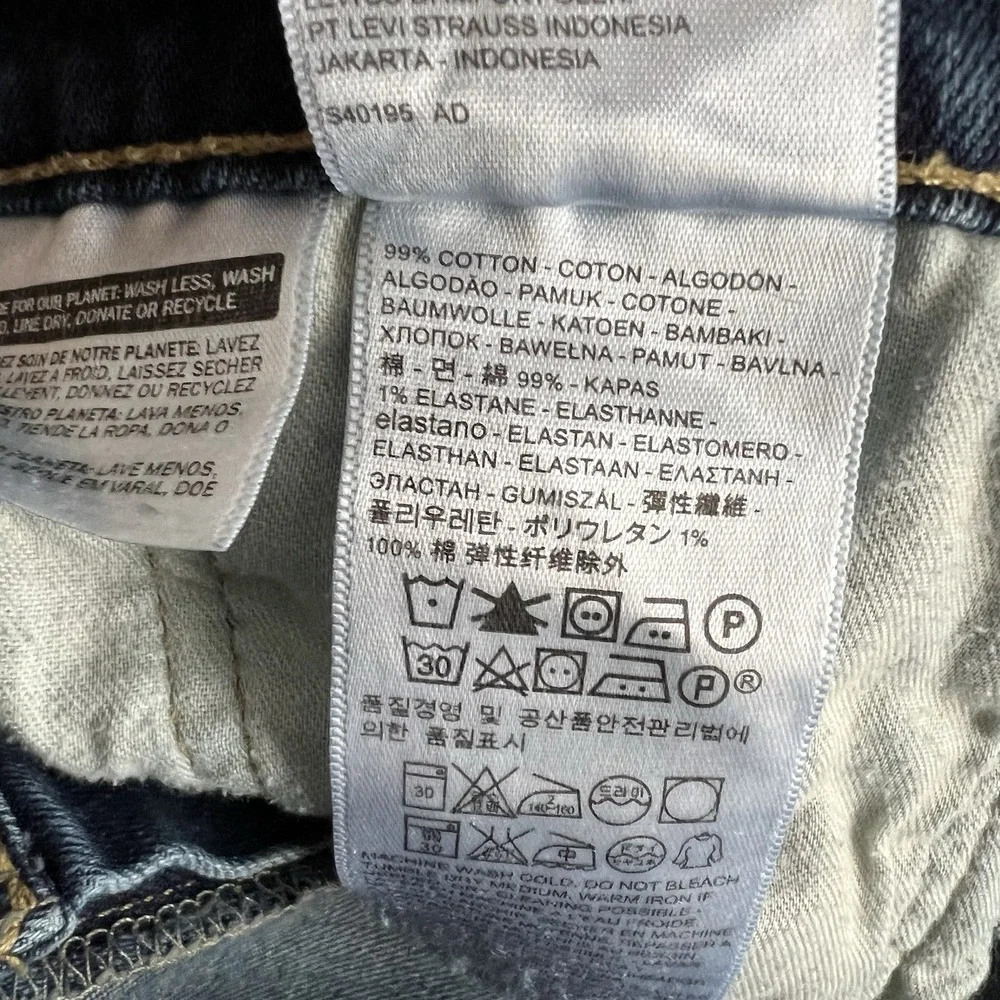 Levis levi 541