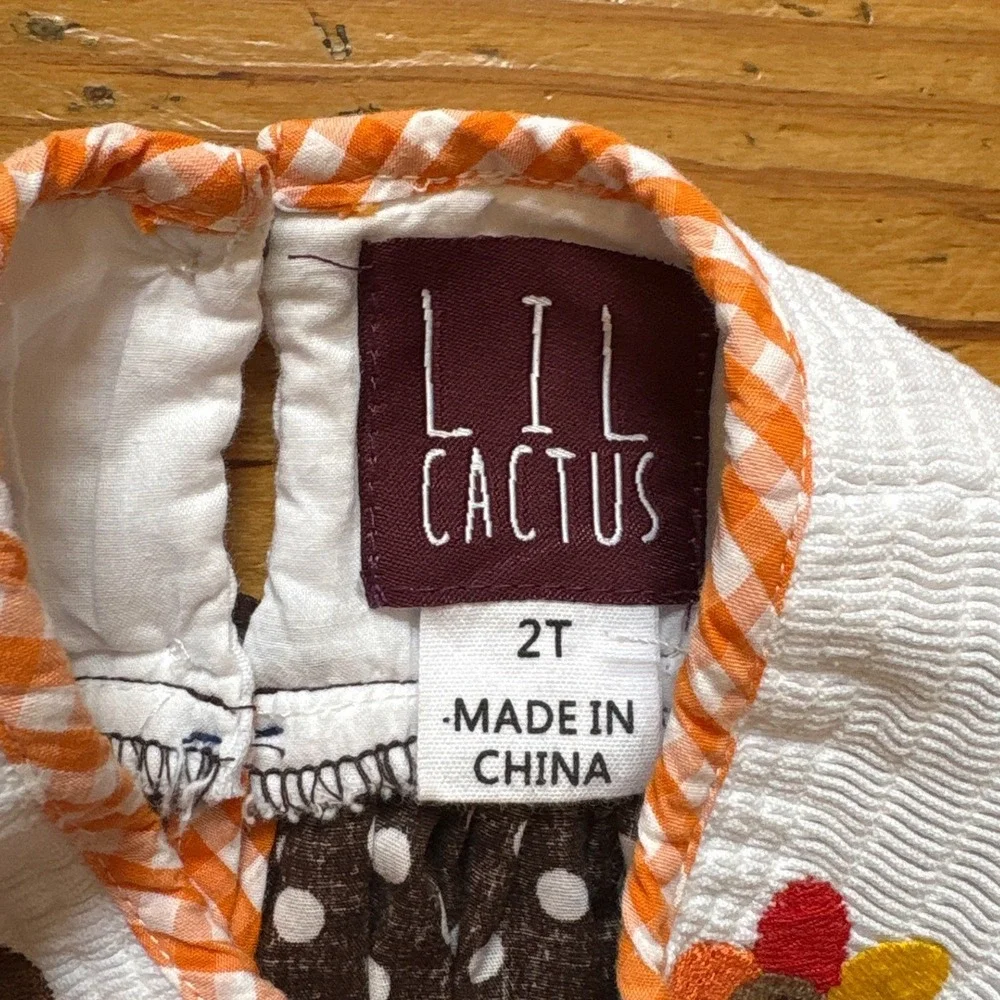 Lil Cactus lil cactus