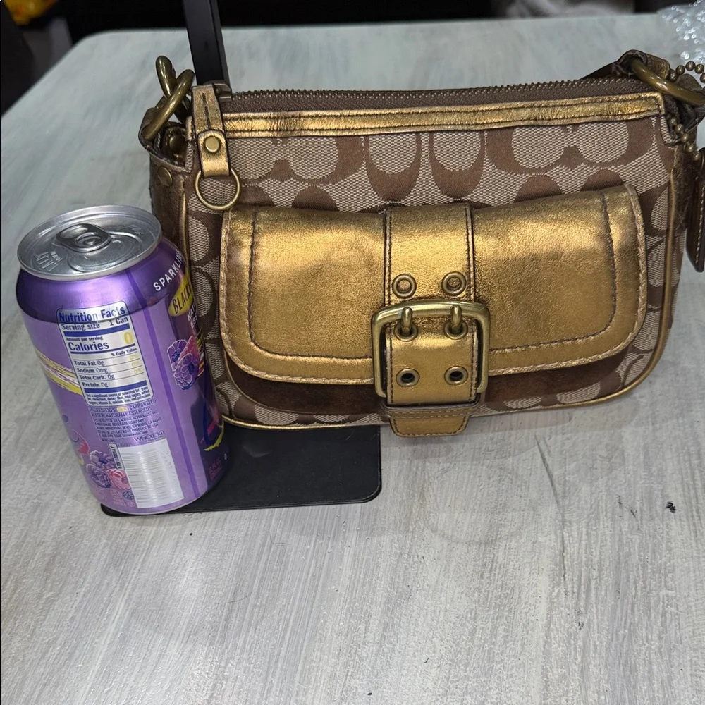 Coach elegant mini