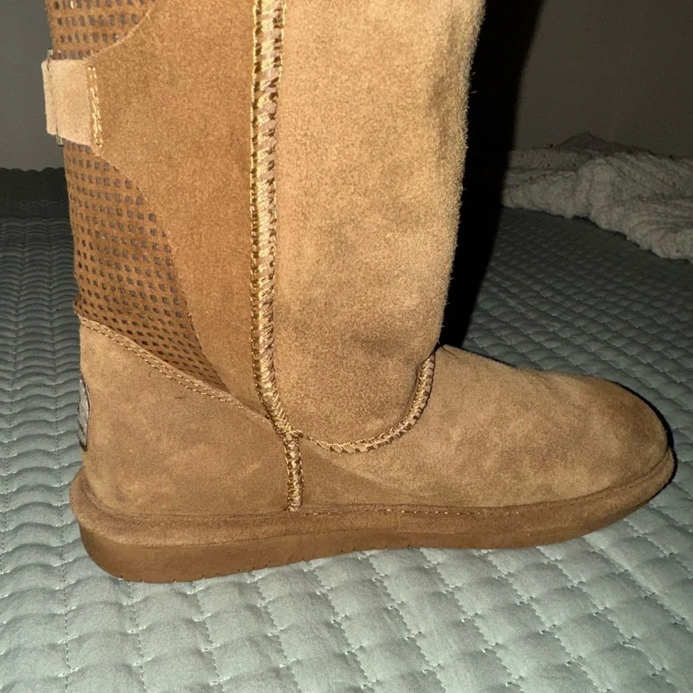 BearPaw bear paw