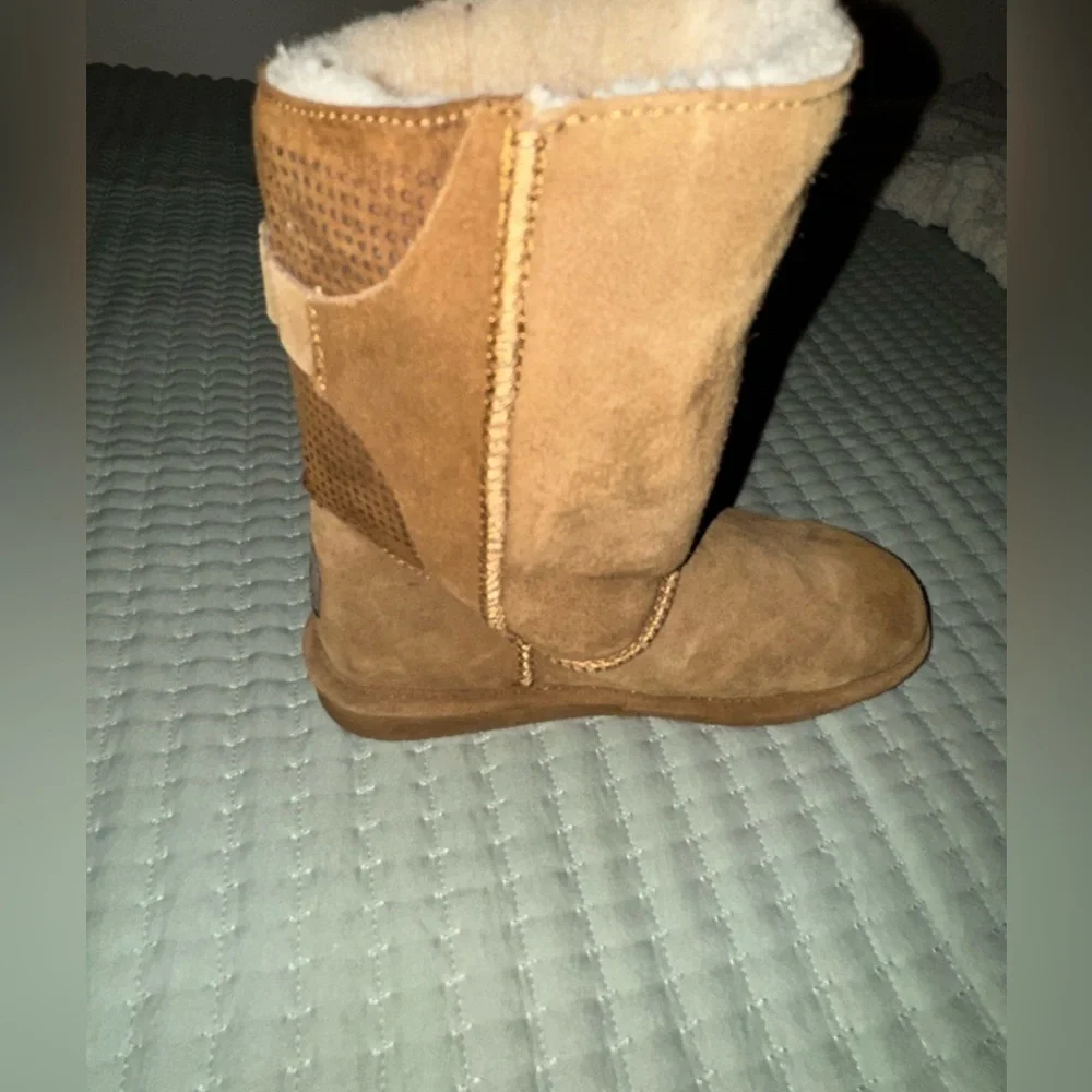 BearPaw bear paw