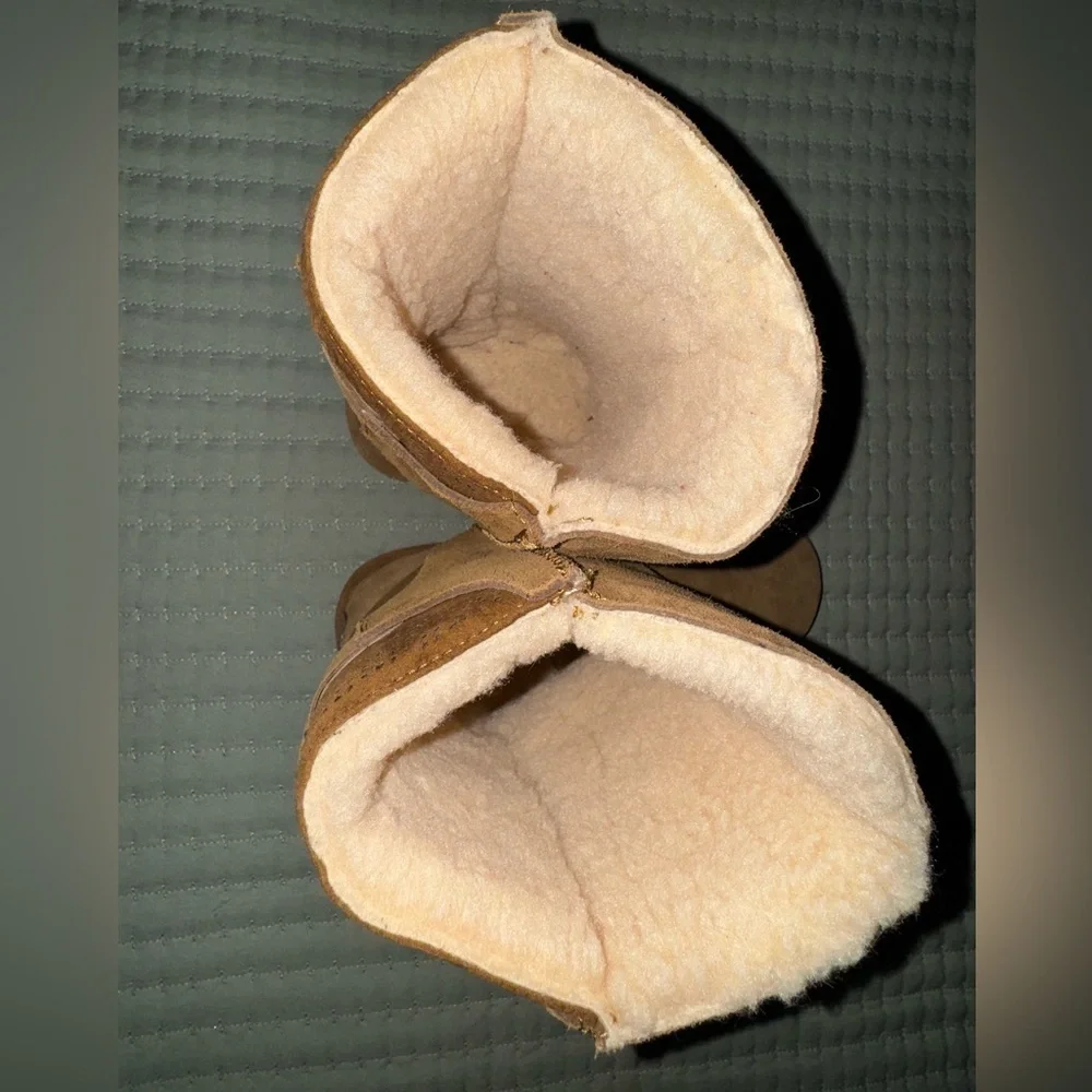 BearPaw bear paw