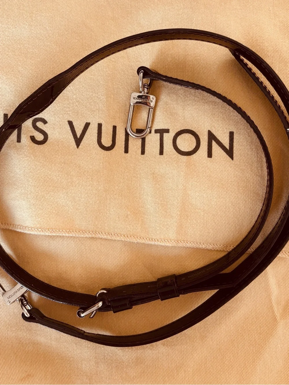 Louis Vuitton authentic louis