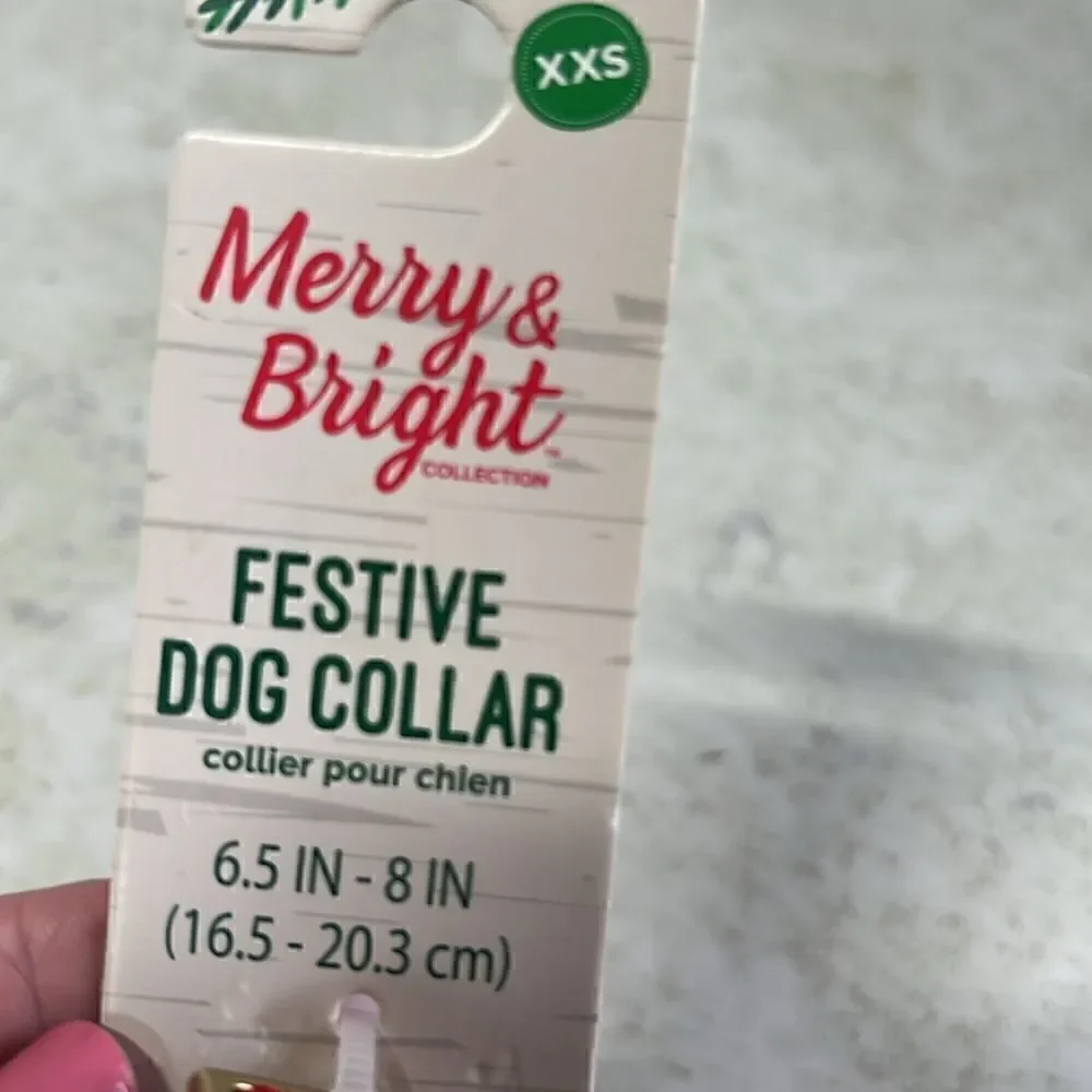 Merry & Bright merry bright