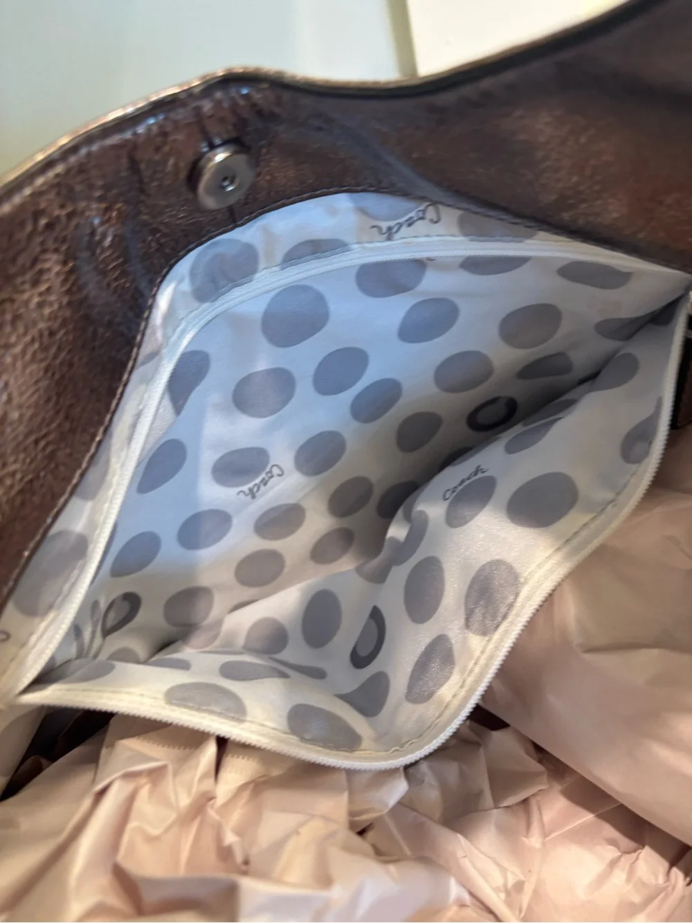 Coach Julia Metallic Leather Hobo Bag