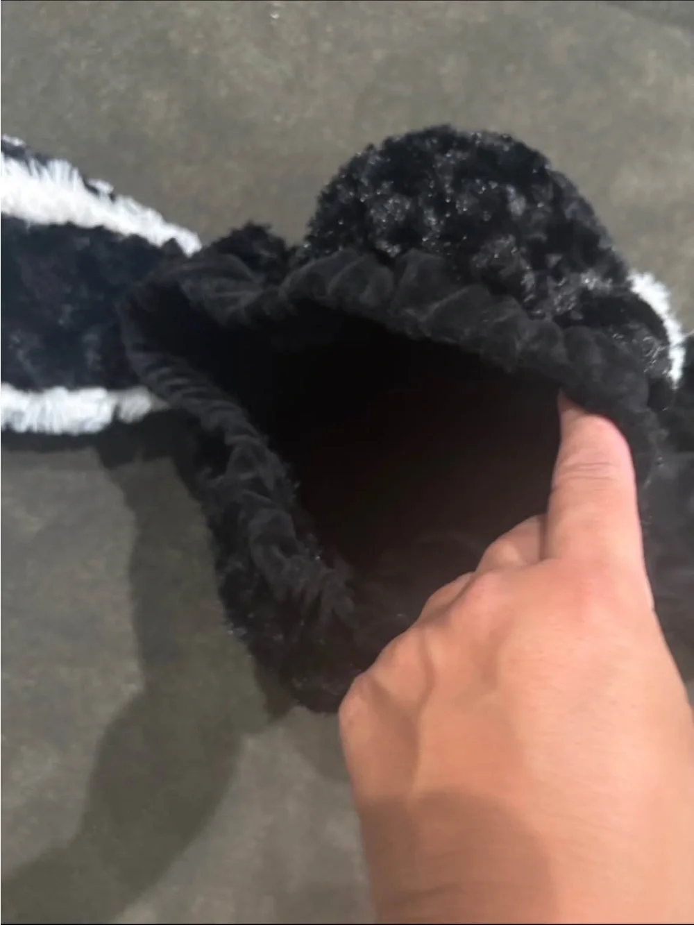 N/A baby skunk