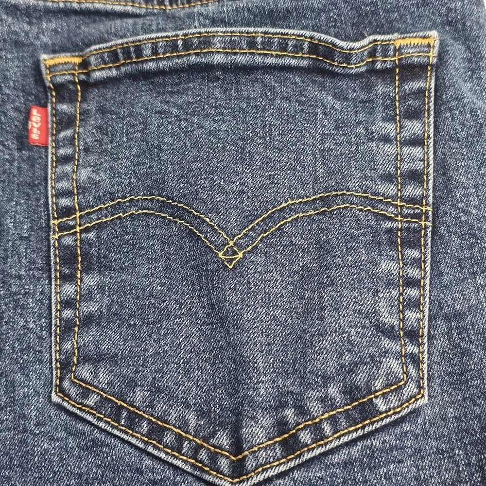 Levis levi strauss