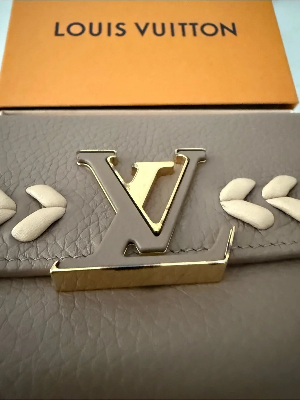 Louis Vuitton luxurious louis