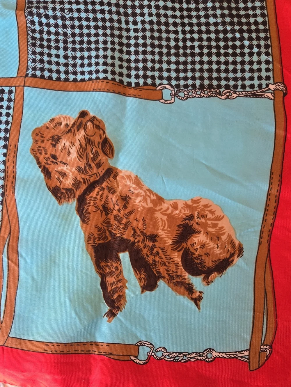 N/A picture dog