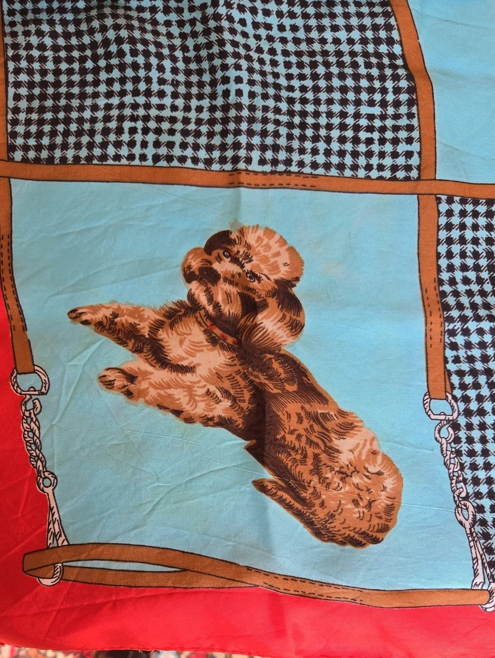 N/A picture dog
