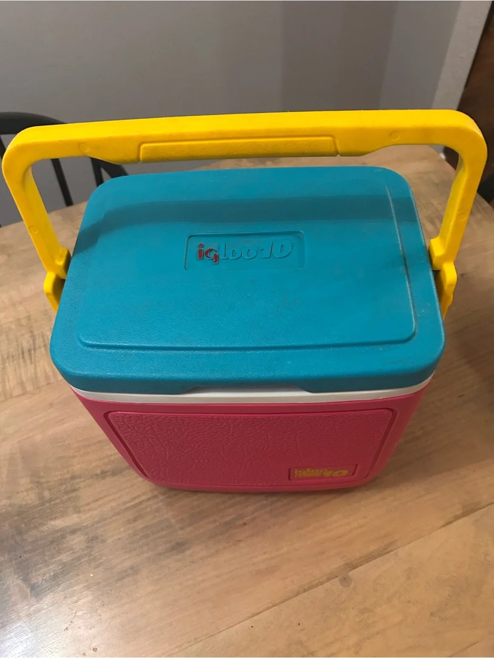 Igloo bright multicolor