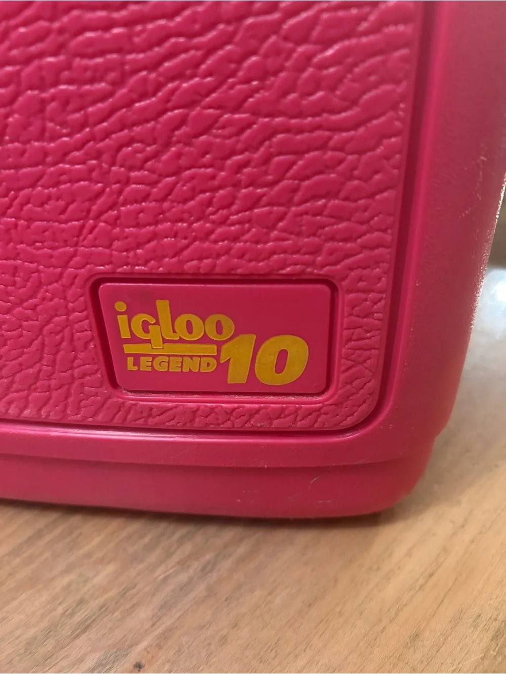 Igloo bright multicolor