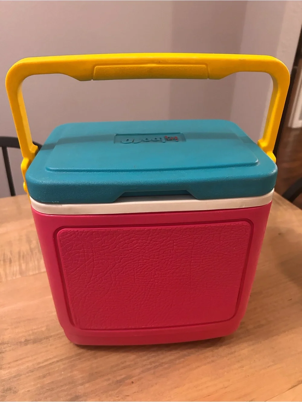 Igloo bright multicolor