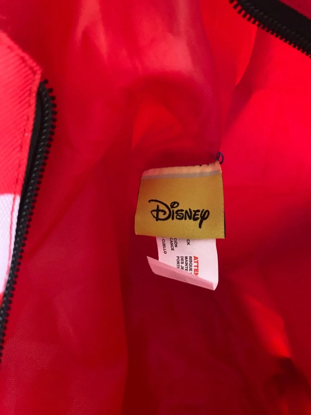 Disney minnie mouse