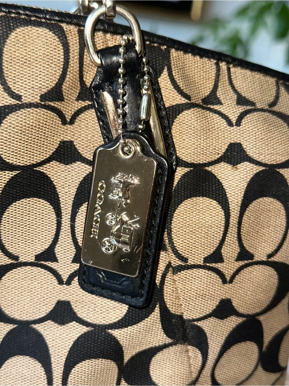 Coach signature canvas