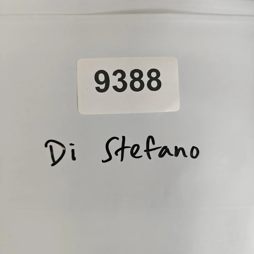 Di Stefano di stefano