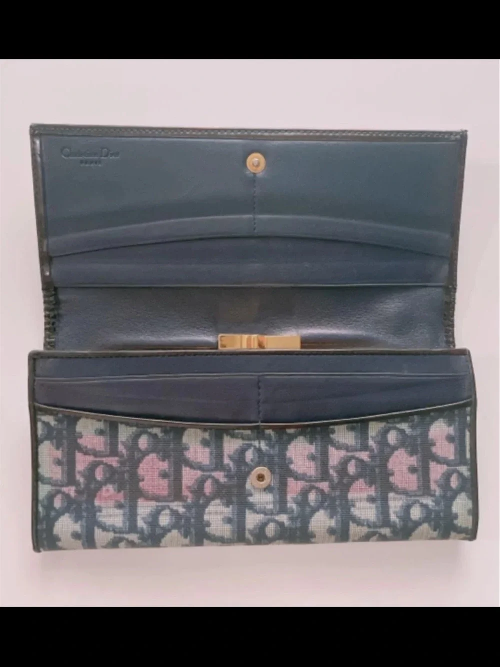 Dior signature oblique