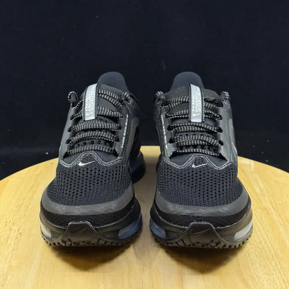 Nike men pegasus