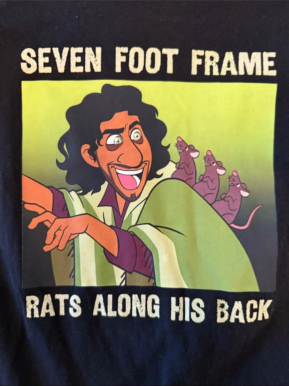 Disney back frame”
