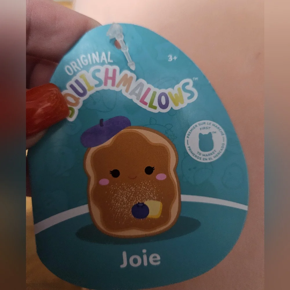 Squishmallows adorable toast