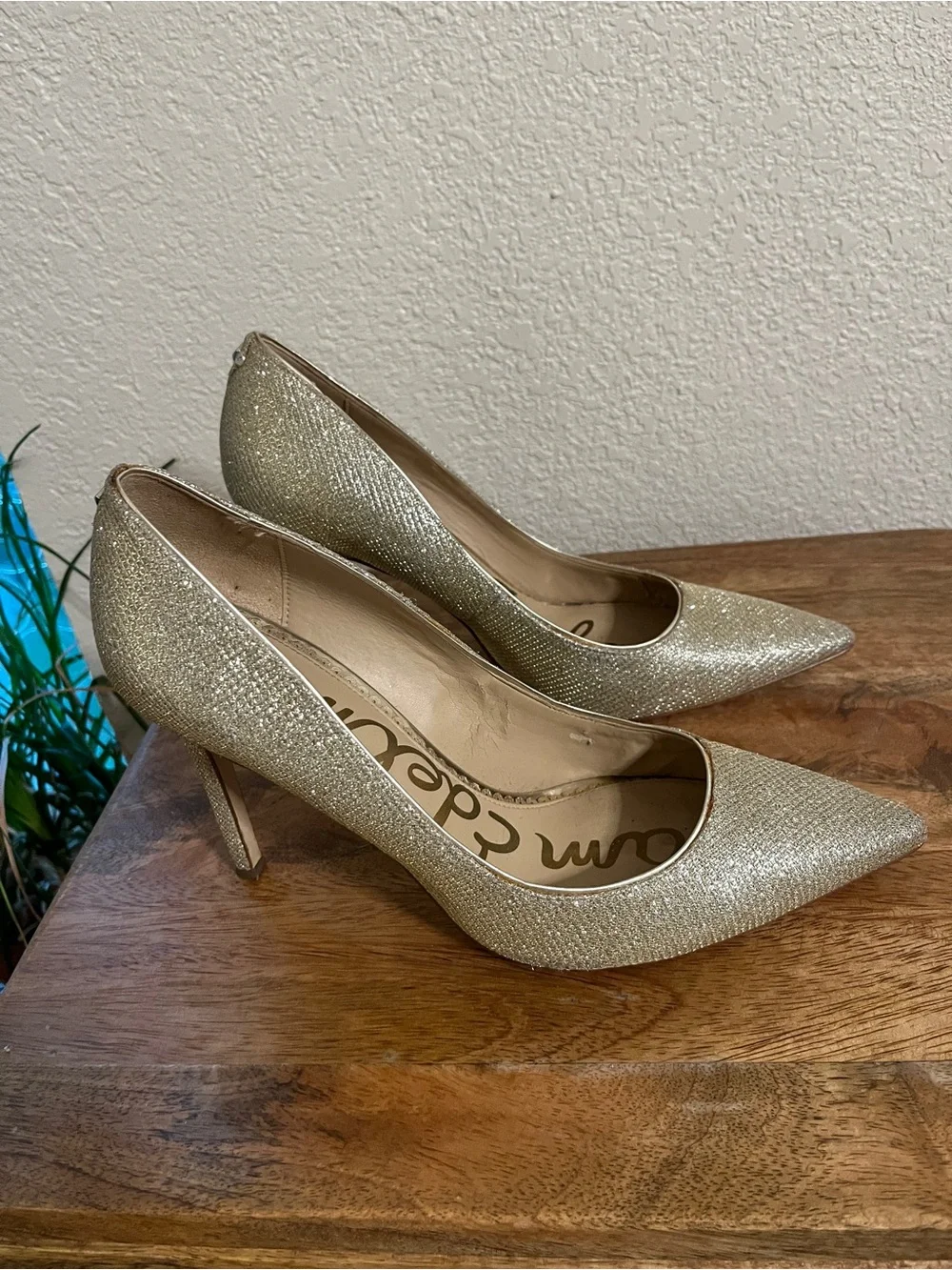 Sam Edelman chic sam