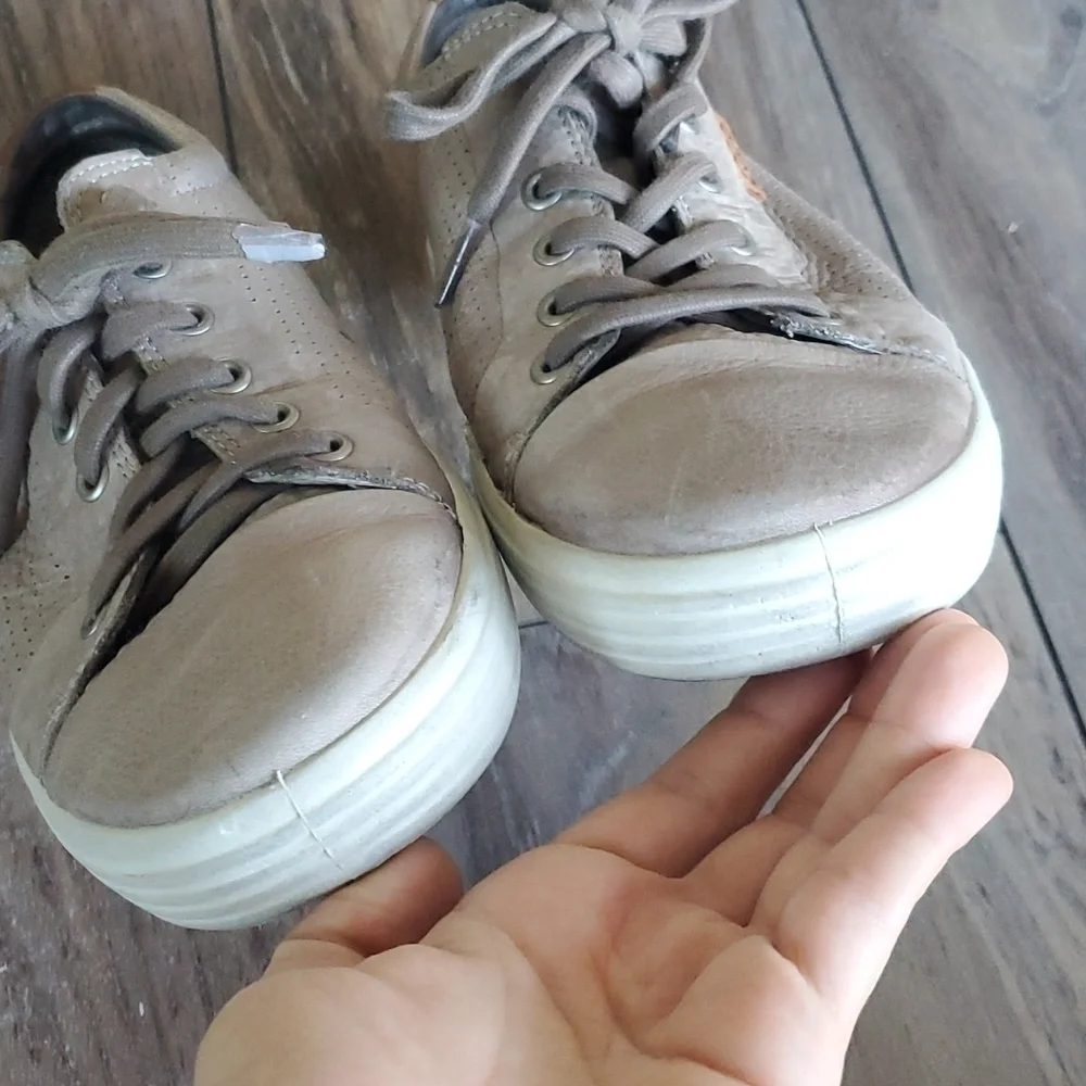 Ecco good s4