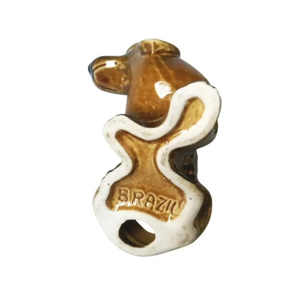Brazil canine expressive playful