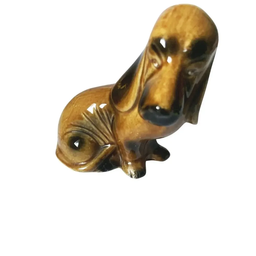 Brazil century wide hound