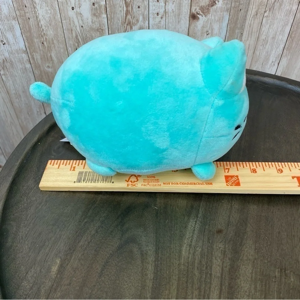 Aurora meowchi mint
