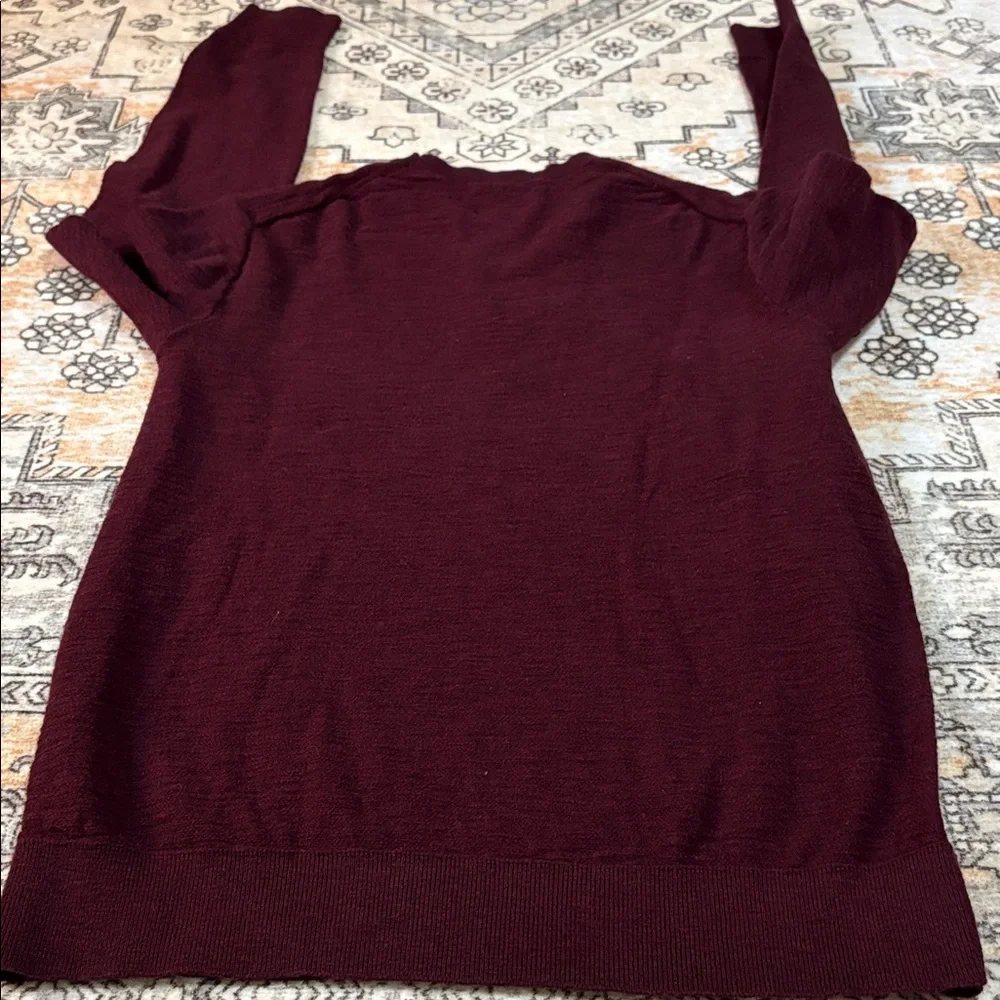 RED ALE L Red Ale by Alesbury Riverside Mens V-Neck Sweater in Wine color