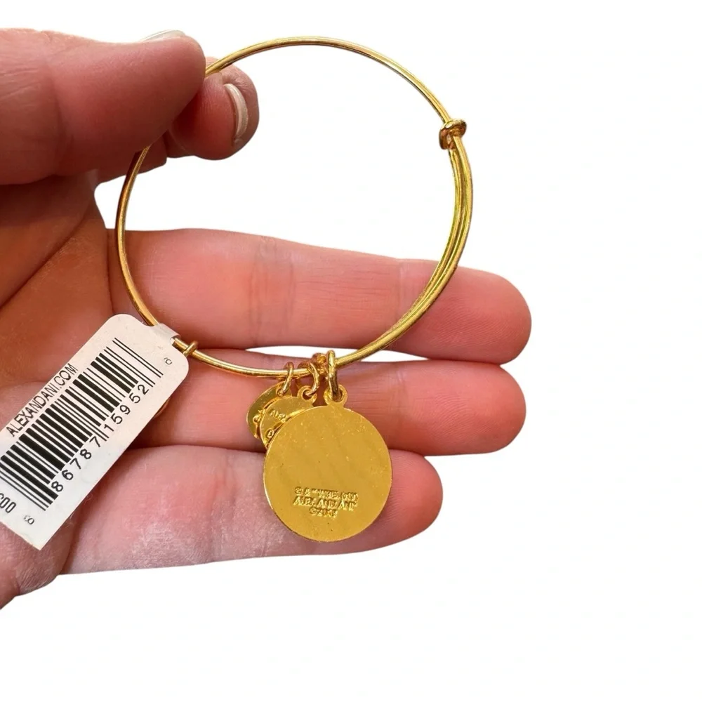 Alex and Ani nwt alex