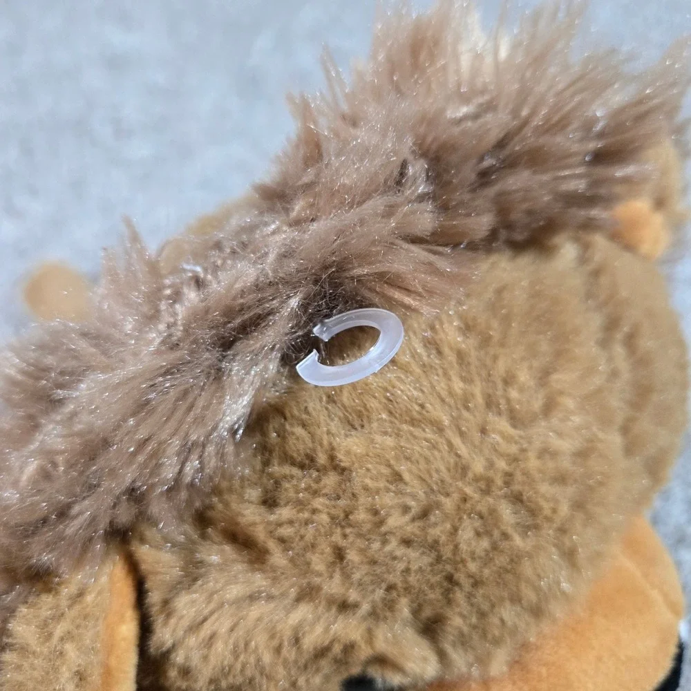 The bear factory meet leo