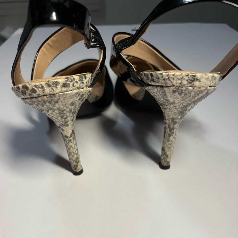 The Limited design chic