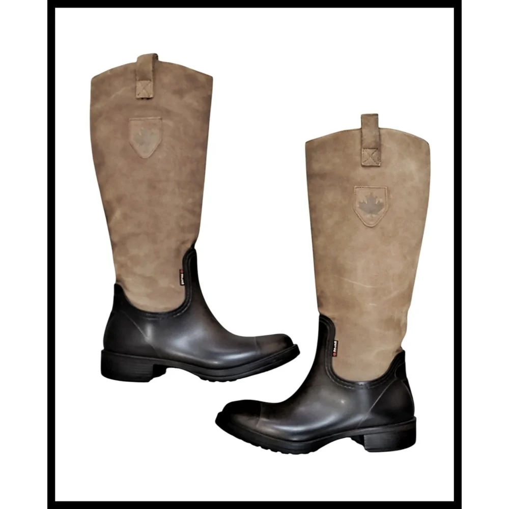 Pajar tall winter