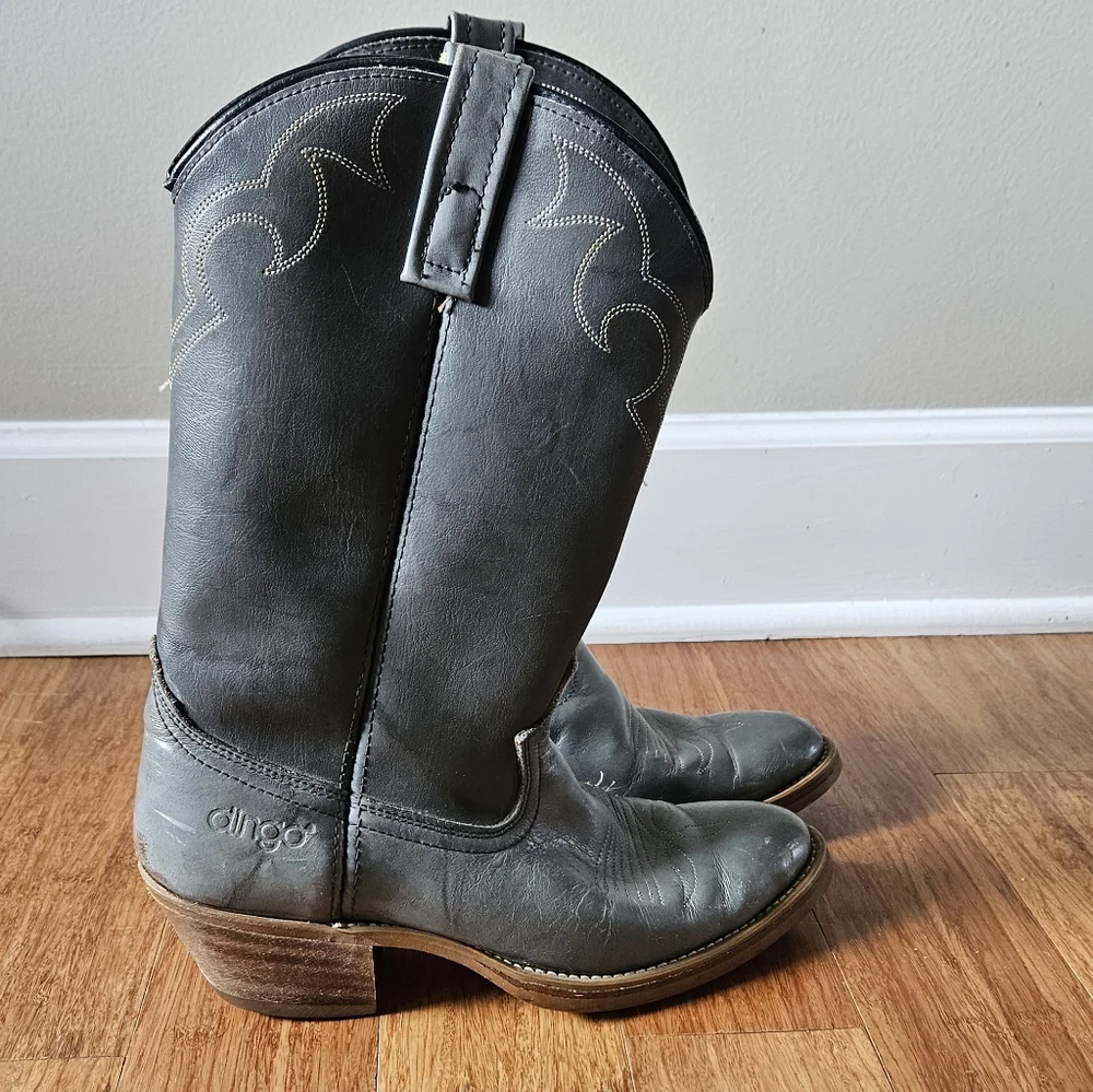 dingo stylish gray