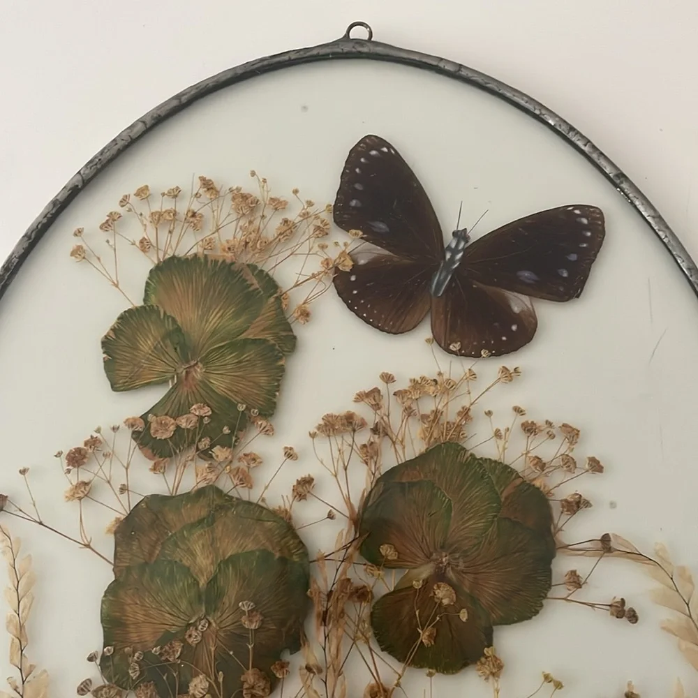 Wall Art dried butterflies and flowers Set of 2