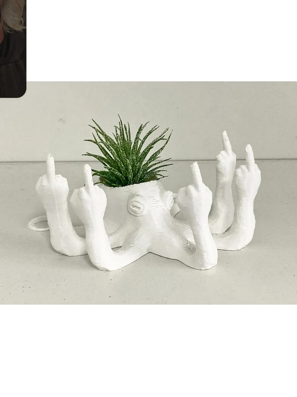 N/A plants planter octopus
