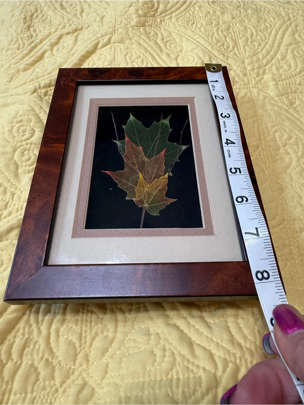 Unknown elegant framed