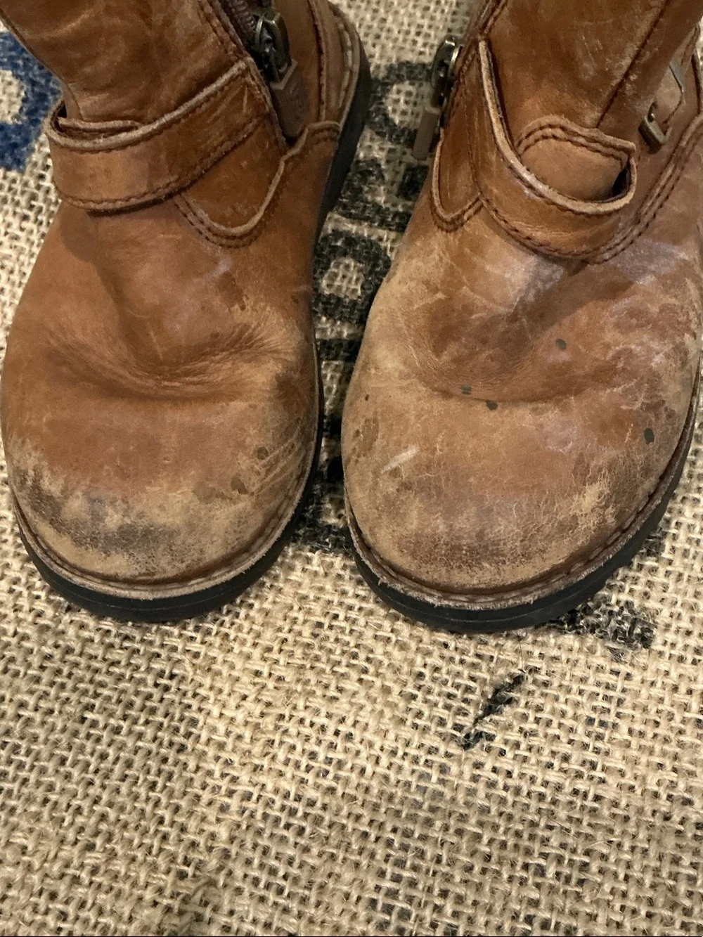 UGG classic ankle