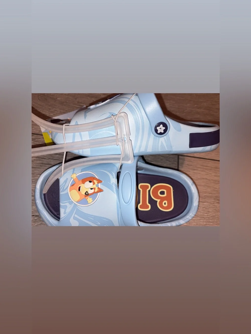 Bluey brand new