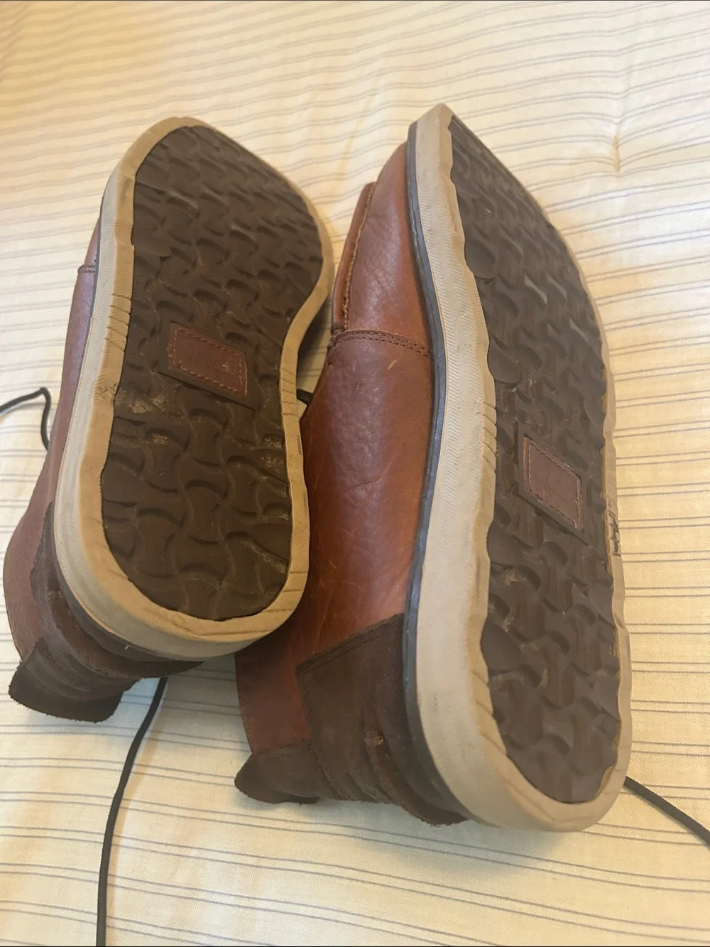 Toms chukka boots