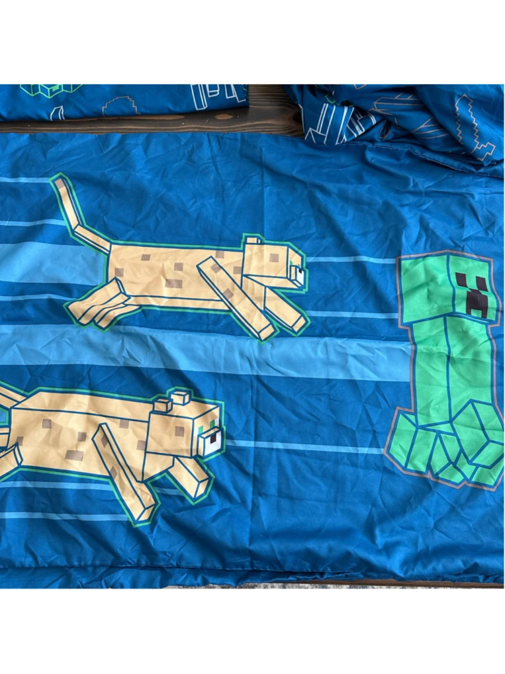 Minecraft pre owned
