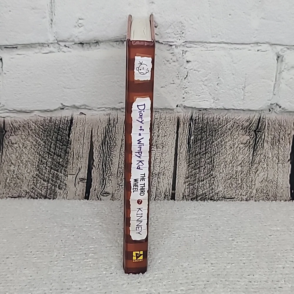 Amulet Books diary wimpy
