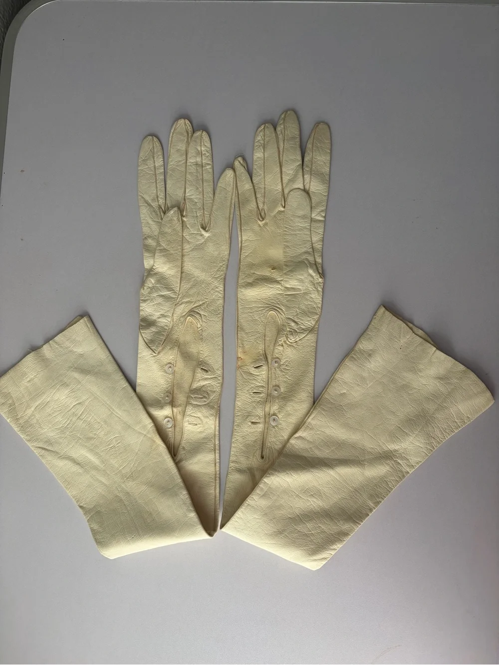 Antique Long Cream Women's Leather Gloves