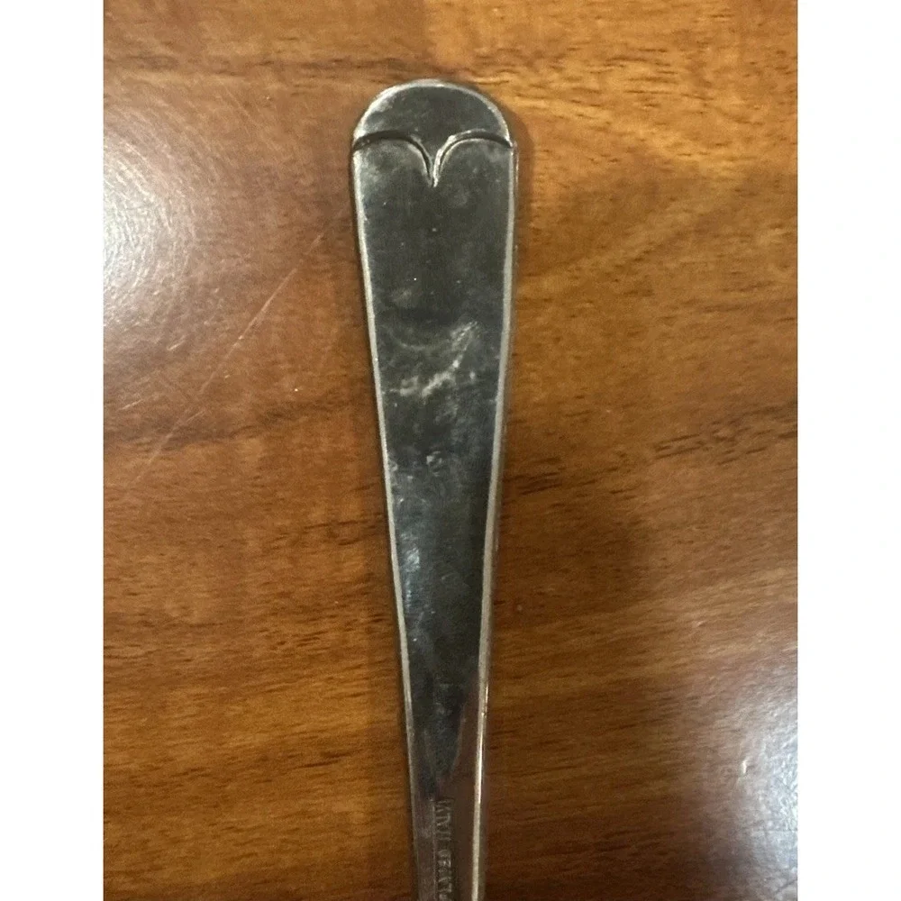 The Unbranded Brand vintage silver
